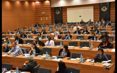 8th edition of the WCO Knowledge Academy opens its doors in Brussels