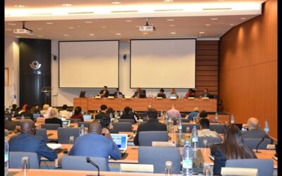 5th Meeting of the WGRKC: Interim Progress on the Comprehensive Review of the RKC